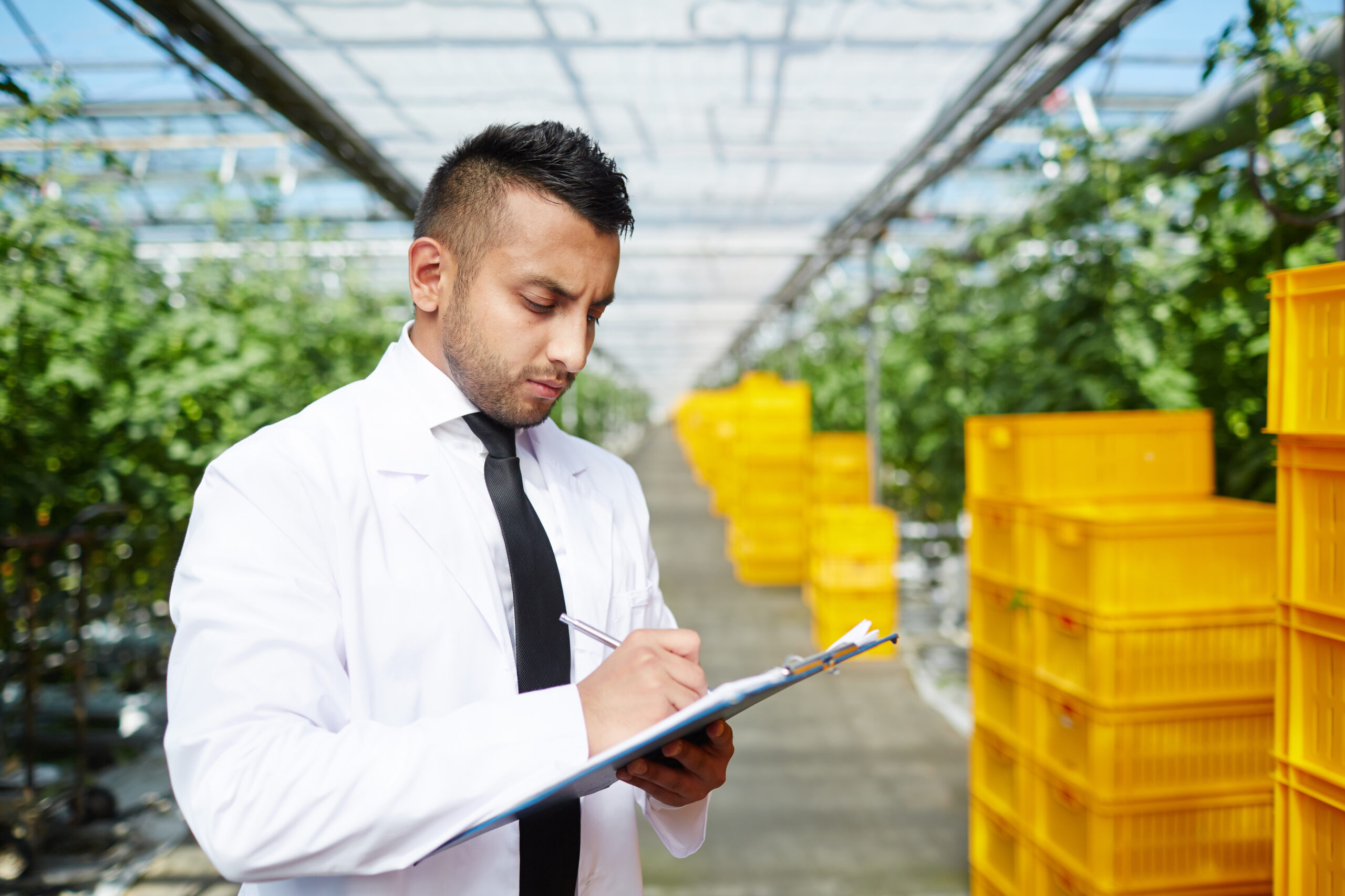 erp agroalimentaire 3