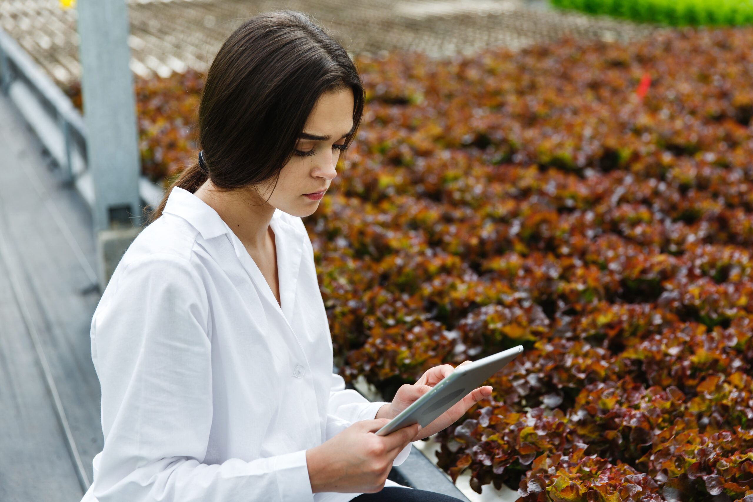 logiciel agroalimentaire